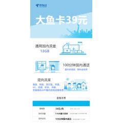 中國電信  大魚卡39元套餐【下訂單，中國郵政快遞包郵到家?！? width=