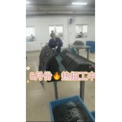 浙江江山電熱棒廠  長(zhǎng)白班～兩班倒   男18-55，女18-50周歲