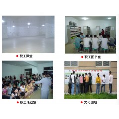 山東山孚日水有限公司招聘信息 男女不限，18-45周歲，