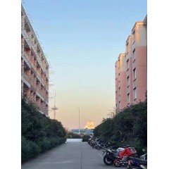 南京中電熊貓晶體  招聘：男18-35周歲，女18-40周歲。