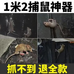 老鼠貼滅鼠魔毯 捕鼠神器老鼠板老鼠粘鼠板強(qiáng)力家用捉鼠驅(qū)鼠滅鼠